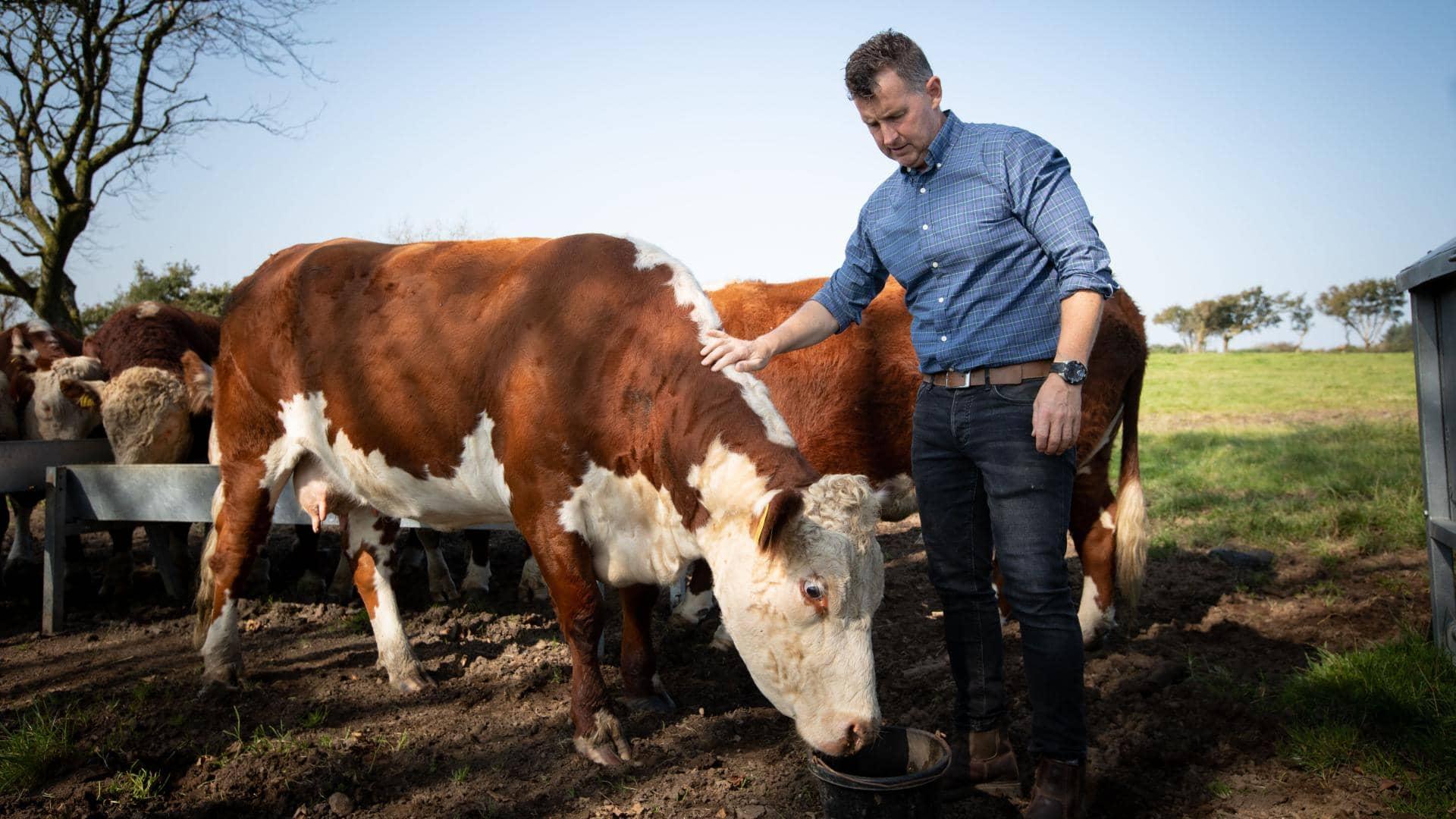 Brits back UK farming with greener shopping habits Business Money